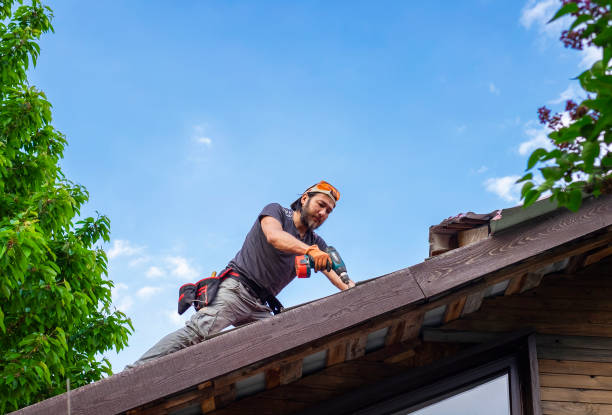 Best Gutter Installation and Repair  in Geneva, OH